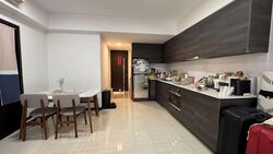 Sims Urban Oasis (D14), Condominium #592548241